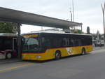 (218'016) - SB Trans, Sursee - Nr. 2/LU 15'692 - Mercedes am 14. Juni 2020 beim Bahnhof Sursee
