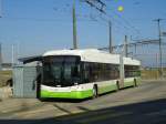 (143'292) - transN, La Chaux-de-Fonds - Nr. 146 - Hess/Hess Gelenktrolleybus (ex TN Neuchtel Nr. 146) am 19. Februar 2013 beim Bahnhof Marin
