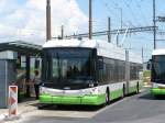 (151'465) - transN, La Chaux-de-Fonds - Nr. 149 - Hess/Hess Gelenktrolleybus (ex TN Neuchtel Nr. 149) am 12. Juni 2014 beim Bahnhof Marin