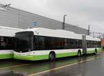 (257'528) - transN, La Chaux-de-Fonds - Nr. 137 - Hess/Hess Gelenktrolleybus (ex TN Neuchtel Nr. 137) am 11. Dezember 2023 in Marin, Dpt