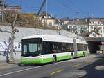 (224'558) - transN, La Chaux-de-Fonds - Nr. 147 - Hess/Hess Gelenktrolleybus (ex TN Neuchtel Nr. 147) am 29. Mrz 2021 in Neuchtel, Avenue de la Gare