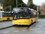 (247'069) - PostAuto Zentralschweiz - Nr. 505/NW 5017/PID 10'252 - Solaris (ex Nr. 55; ex Thepra, Stans Nr. 25) am 10. März 2023 beim Bahnhof Stans