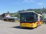 (216'809) - PostAuto Ostschweiz - SG 426'001 - Hess + SG 445'301 - Mercedes am 9.