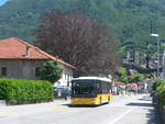 (217'318) - AutoPostale Ticino - TI 326'915 - Mercedes (ex Starnini, Tenero) am 24. Mai 2020 in Bellinzona, Espocentro