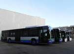 (258'038) - TPL Lugano - Nr. 305 - Mercedes am 30. Dezember 2023 in Winterthur, Daimler Buses