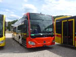 (217'433) - ARL Viganello - Mercedes am 30. Mai 2020 in Winterthur, EvoBus