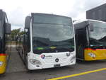 (221'743) - Limmat Bus, Dietikon - (AG 370'318) - Mercedes am 11.