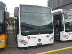 (221'745) - Limmat Bus, Dietikon - (AG 370'317) - Mercedes am 11.