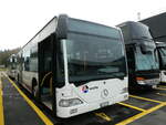 (242'202) - Limmat Bus, Dietikon - AG 448'712 - Mercedes (ex BDWM Bremgarten) am 6.