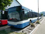 winterthur/825631/254999---vbz-zuerich---nr (254'999) - VBZ Zrich - Nr. 545 - Neoplan am 9. September 2023 in Winterthur, Daimler Buses