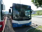 (255'001) - VBZ Zrich - Nr. 545 - Neoplan am 9. September 2023 in Winterthur, Daimler Buses