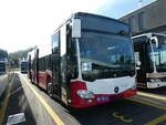 (255'248) - Aus Oesterreich: Wiener Linien - Nr. 8122 - Mercedes am 17. September 2023 in Winterthur, Daimler Buses