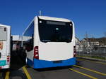(259'082) - VBL Luzern - (143'941) - eMercedes am 3. Februar 2024 in Winterthur, Daimler Buses