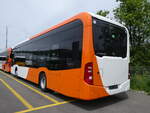 (262'110) - Globe-Limo, Le Lignon - (144'377) - eMercedes am 4. Mai 2024 in Winterthur, Daimler Buses