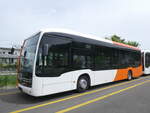 (262'111) - Globe-Limo, Le Lignon - (144'374) - eMercedes am 4. Mai 2024 in Winterthur, Daimler Buses