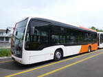 (262'113) - Globe-Limo, Le Lignon - (144'373) - eMercedes am 4. Mai 2024 in Winterthur, Daimler Buses
