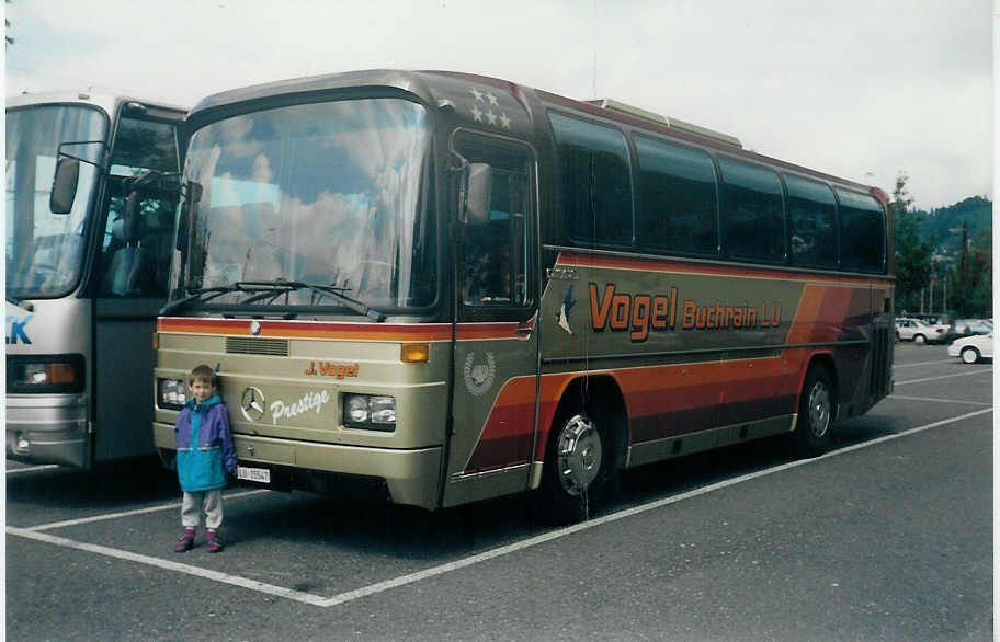 (014'908) - Vogel, Buchrain - LU 15'547 - Mercedes am 31. August 1996 in Thun, Seestrasse