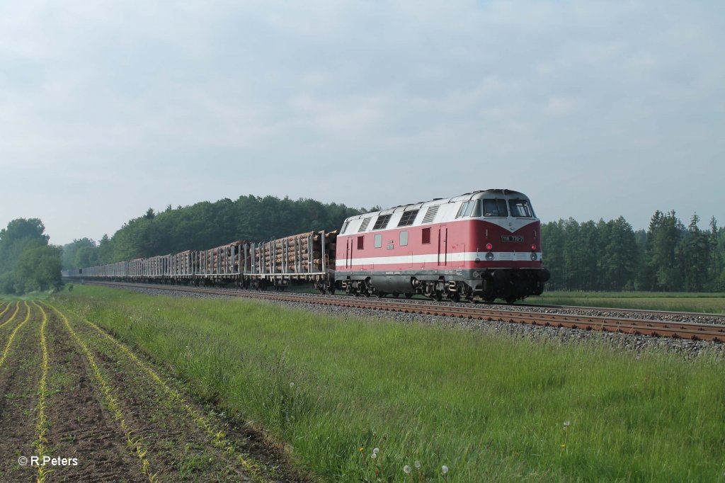 118 770-7 h�ngt am Schluss vom Holzzug Plauen - ATW Wiesau welcher von der Press 253 014 gezogen wird, Oberteich 07.06.13