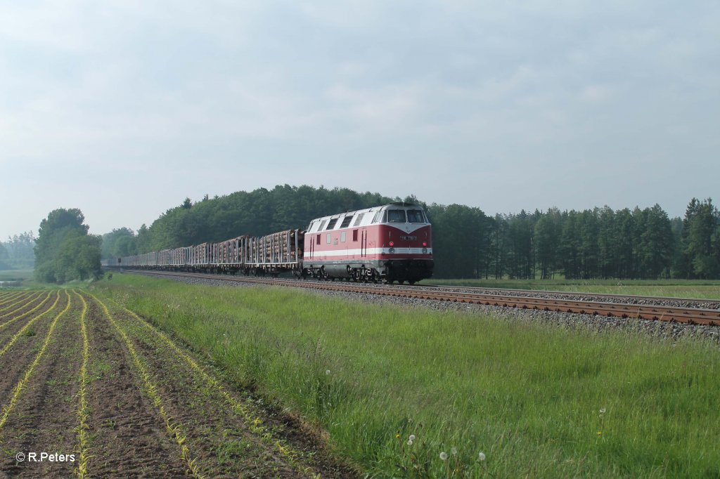 118 770-7 h�ngt am Schluss vom Holzzug Plauen - ATW Wiesau welcher von der Press 253 014 gezogen wird, Oberteich 07.06.13