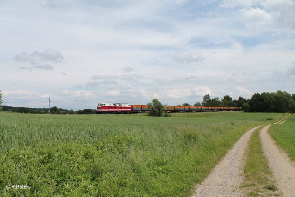 118 770 mit einem Kokszug aus der CZ bei Unterth�lau. 15.06.13