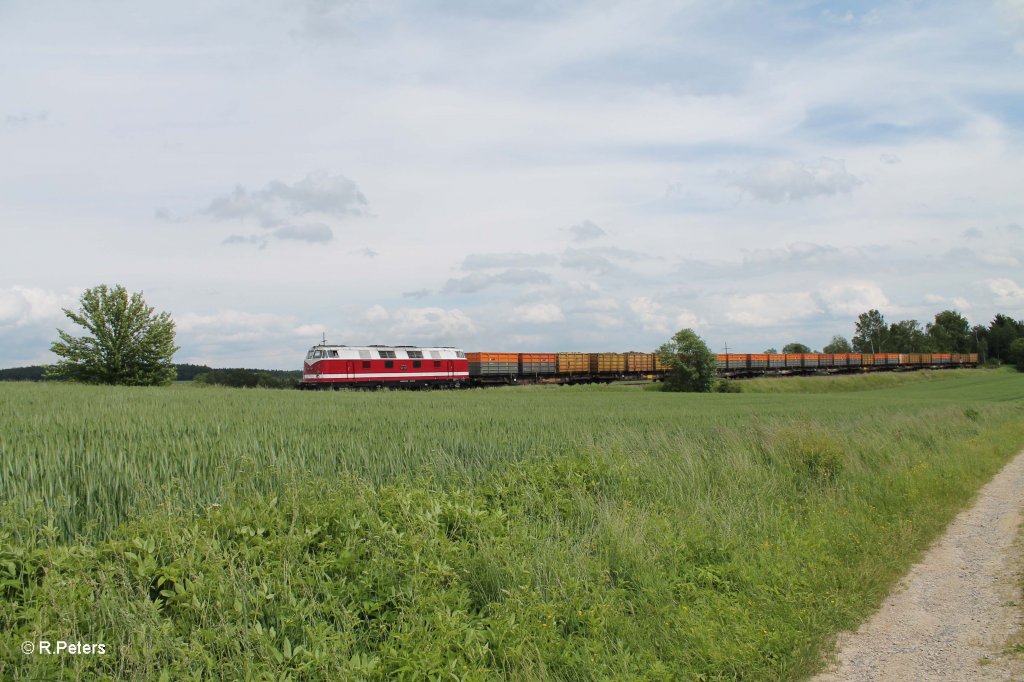 118 770 mit einem Kokszug aus der CZ bei Unterth�lau. 15.06.13