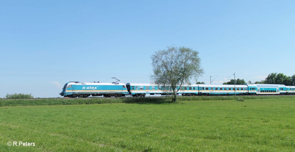 183 004 mit dem ALX84112 M�nchen - Hof bei Pulling bei Freising. 08.06.13