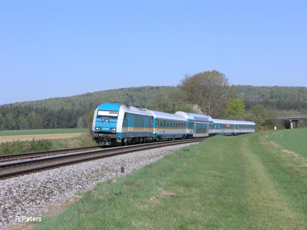 223 063 mit ALX84111 Hof - M�nchen bei Oberteich. 23.04.11