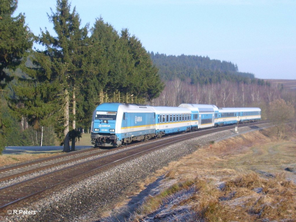223 063mit ALX84109 nach M�nchen bei Lengenfeld. 20.03.11