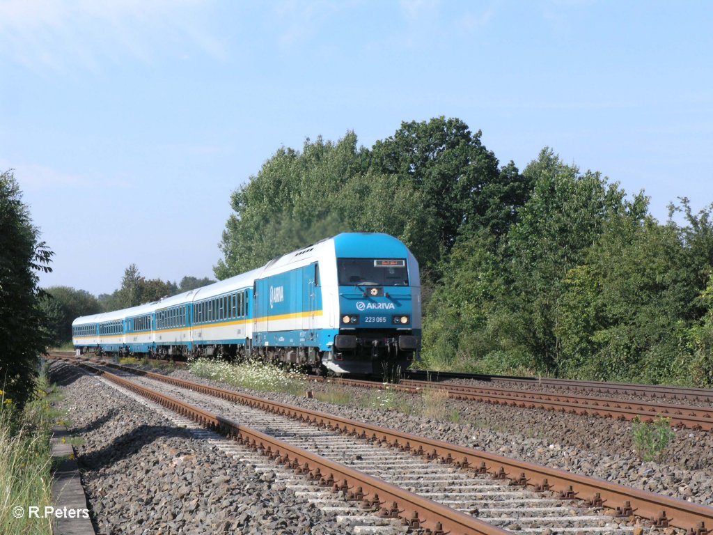 223 065 zieht bei Sch�nfeld den ALX37972 nach Hof. 07.08.09
