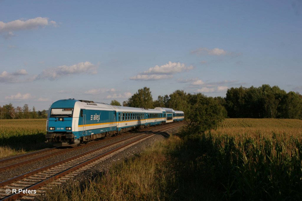 223 066 mit dem ALX84110 M�nchen - Hof bei Unterth�lau. 08.09.12