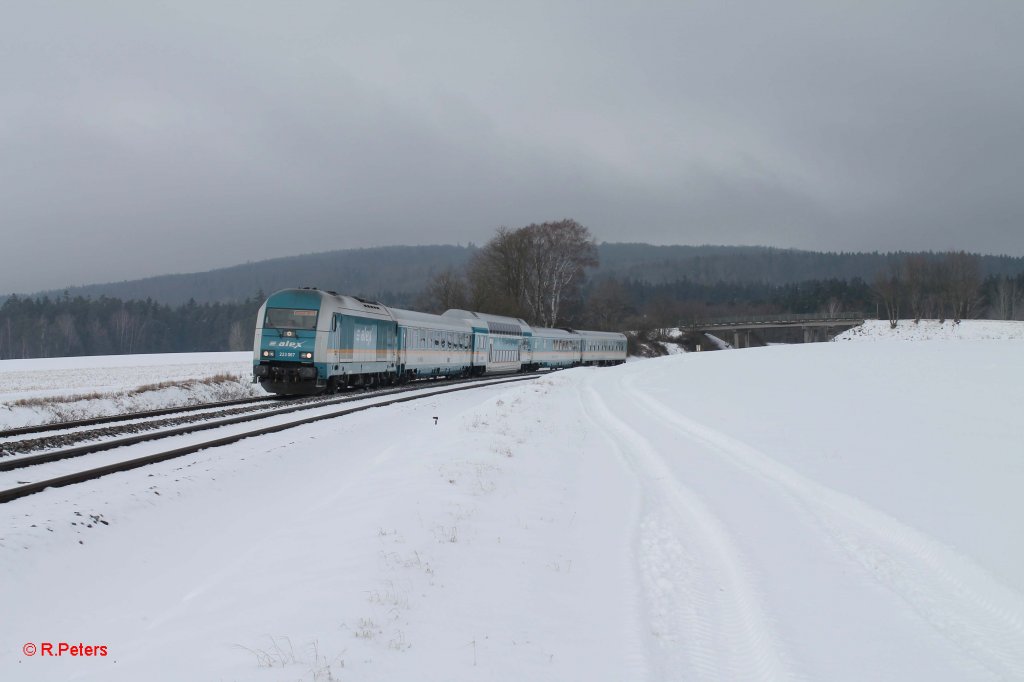 223 067 mit dem ALX84111 Hof - M�nchen bei Oberteich. 26.02.13
