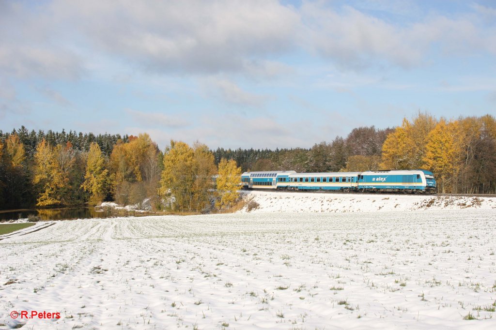 223 067 mit dem ALX84115 Hof - M�nchen bei Oberteich. 28.10.12