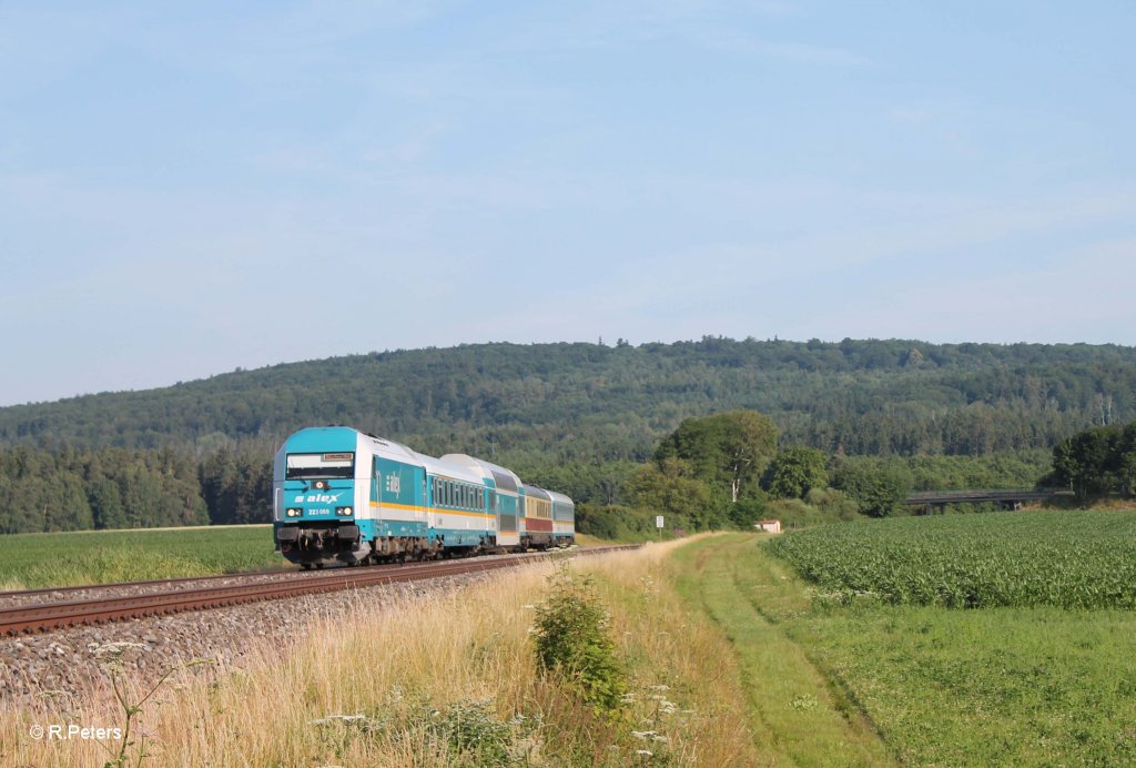 223 069 mit dem ALX84109 Hof - M�nchen bei Oberteich. 17.07.13