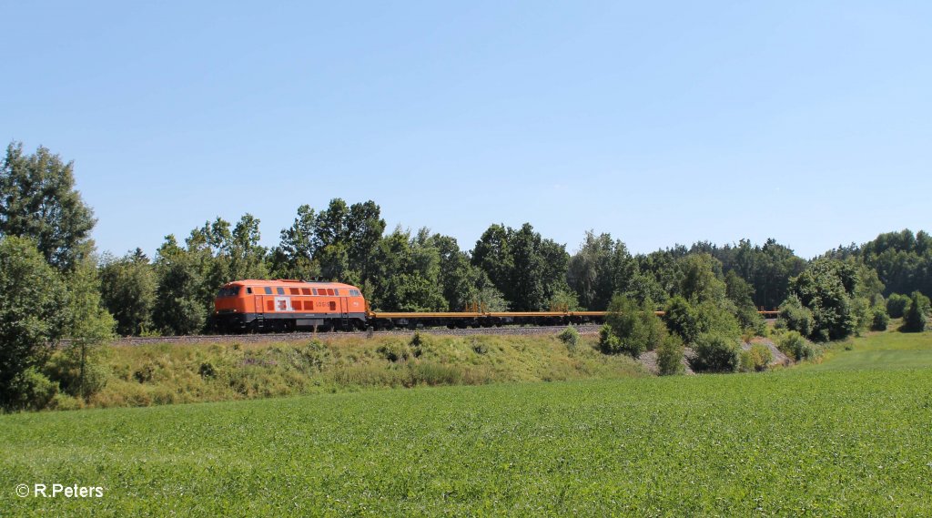 225 110-7 (BBL V16) mit einem Schienenbauzug aus M�nchen nach Hof s�dlich von Wiesau. 21.07.13