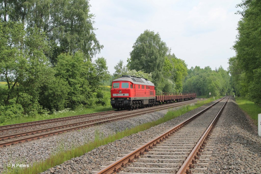 232 569-4 mit Langschienenzug bei Sch�nfeld 09.06.13