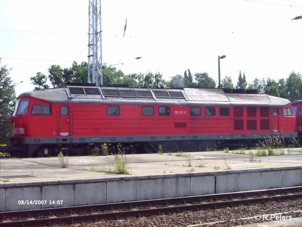 233 127-0 im Lokzug in Berlin-Sch�nefeld.