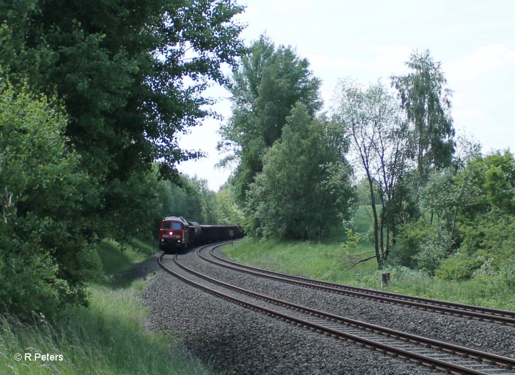 233 217-9 mit dem langen 45365 N�rnberg - Cheb bei Sch�nfeld. 13.06.13