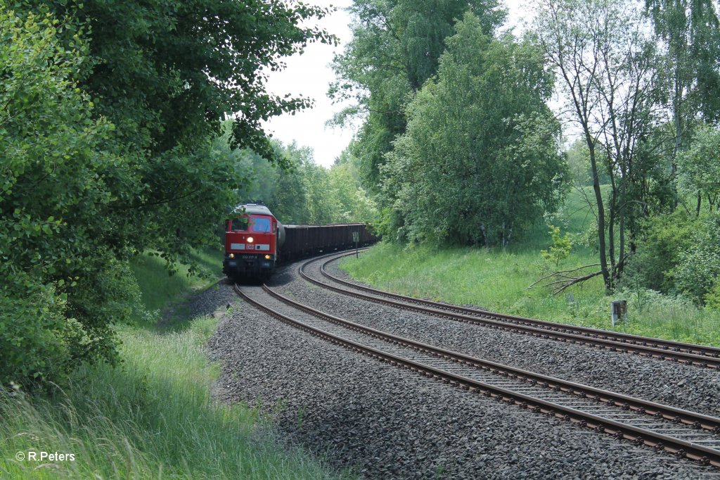 233 217-9 mit dem langen 45365 N�rnberg - Cheb bei Sch�nfeld. 13.06.13