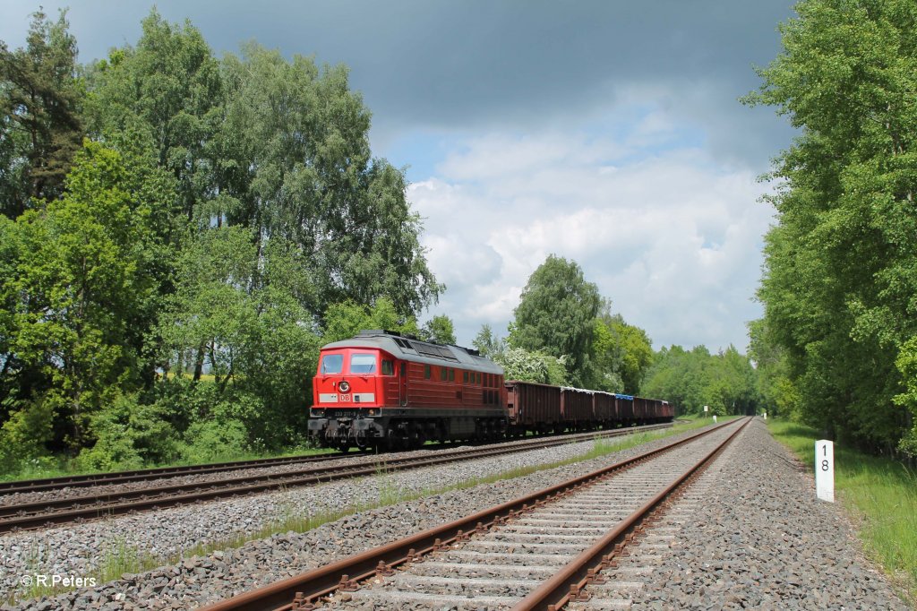 233 217-9 mit dem Schrottzug 49350 Cheb - N�rnberg bei Sch�nfeld. 06.06.13