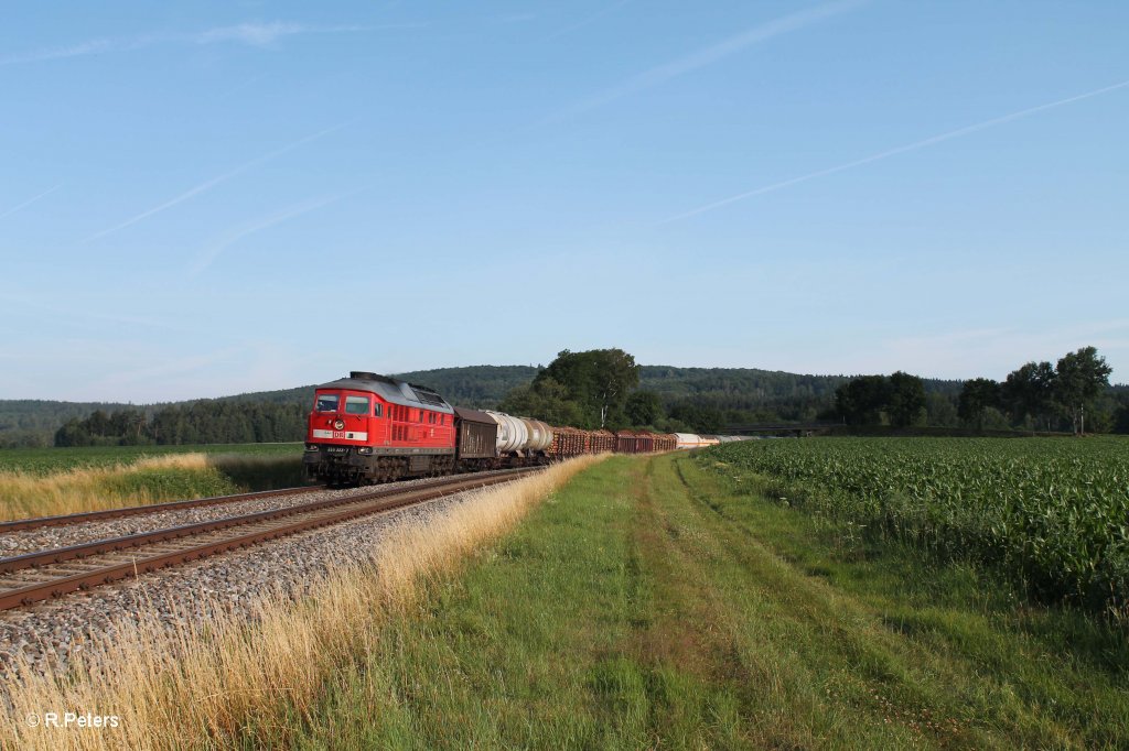 233 322-7 mit dem umgeleiteten 45360 Cheb - N�rnberg bei Oberteich. 17.07.13