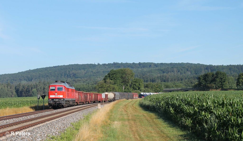233 452-2 mit dem 51683 Zwickau - N�rnberg bei Oberteich. 01.08.13