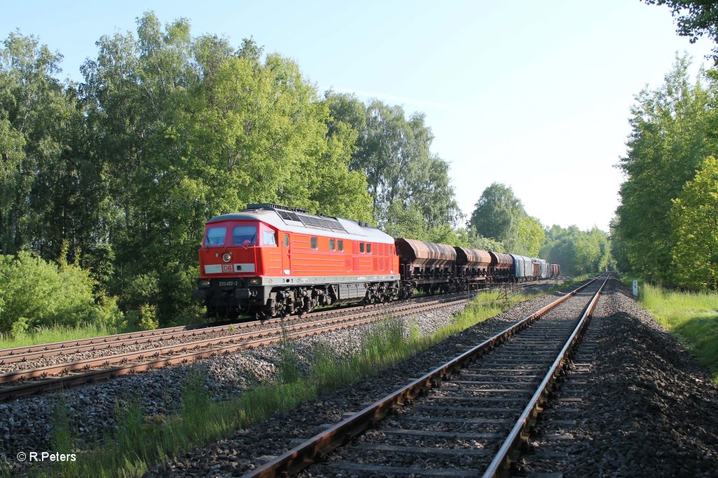 233 452-2 mit dem umgeleiteten 51683 Zwickau - N�rnberg bei Sch�nfeld. 05.06.13