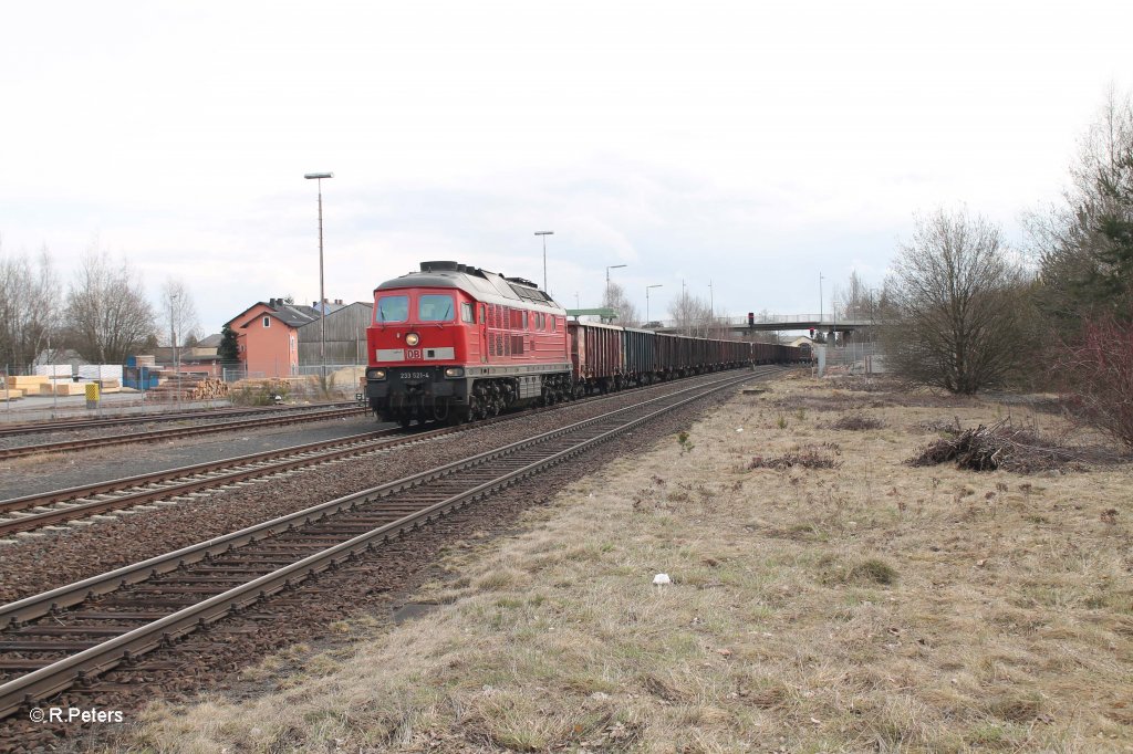 233 521-4 mit gemischten langen G�terzug in Wiesau/Oberpfalz. 12.04.13