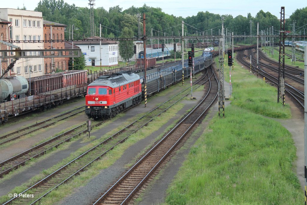233 521-4 schl�ngelt sich mit dem 45369 in den Bahnhof Cheb (CZ) am Abend des 14.06.13