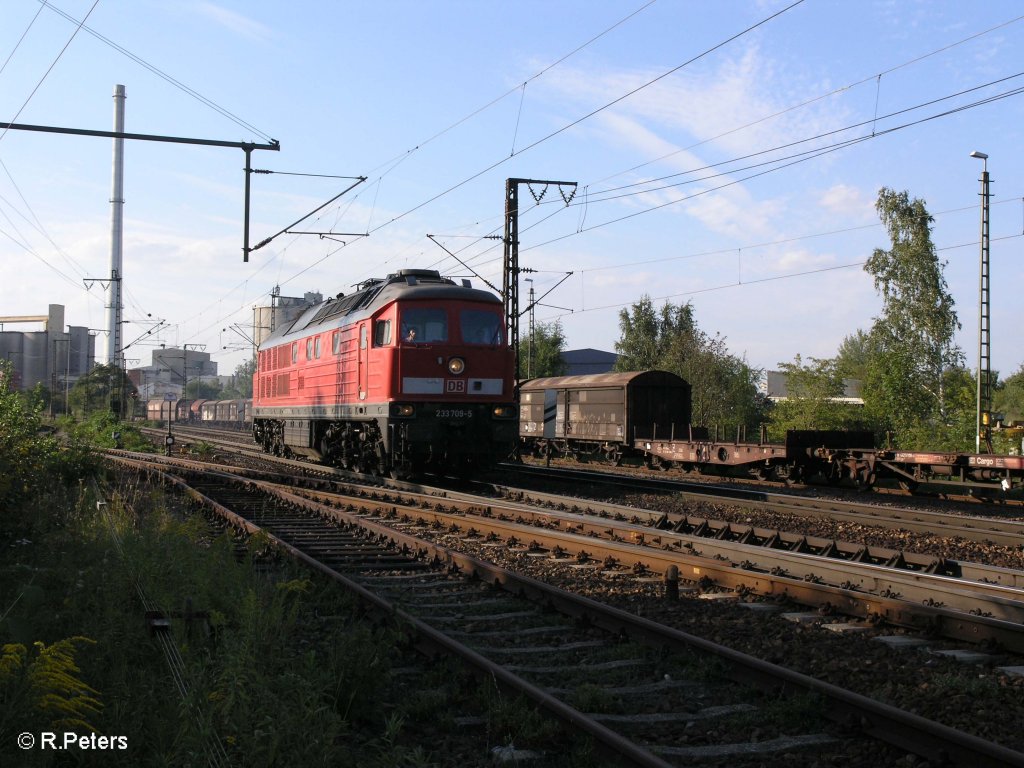 233 709-5 kommt solo wieder zur�ck in Regensburg Ost eingefahren. 27.08.09