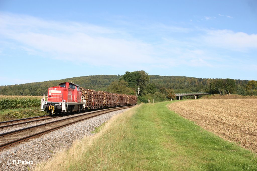 294 717-4 mit der �bergabe 56960 nach Wiesau bei Oberteich. 06.09.11