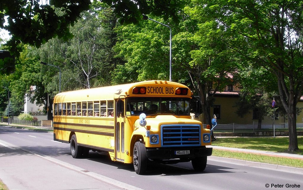 amerikanischer Schoolbus, Schulbus aus Magdeburg auf Ausflugstour in Bernburg, fotografiert in der Krumbholzallee in Bernburg am 08.06.2012