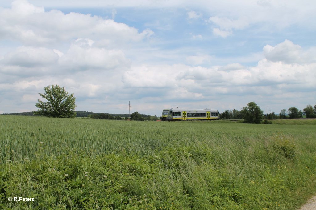 Eine Agils nach Hof bei Unterth�lau. 15.06.13