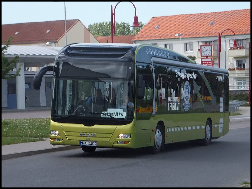 MAN Lion's City HYBRID aus Mnchen zum Test der RPNV auf Rgen in Bergen.