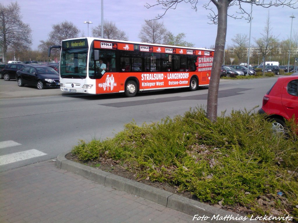 MB Bus der SWS in Stralsund an der Haltestelle Stralsund, Strelapark/Zoo am 2.5.13